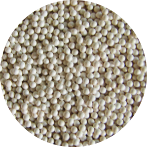 Zirconium Oxide Beads 1.0 mm RNase Free